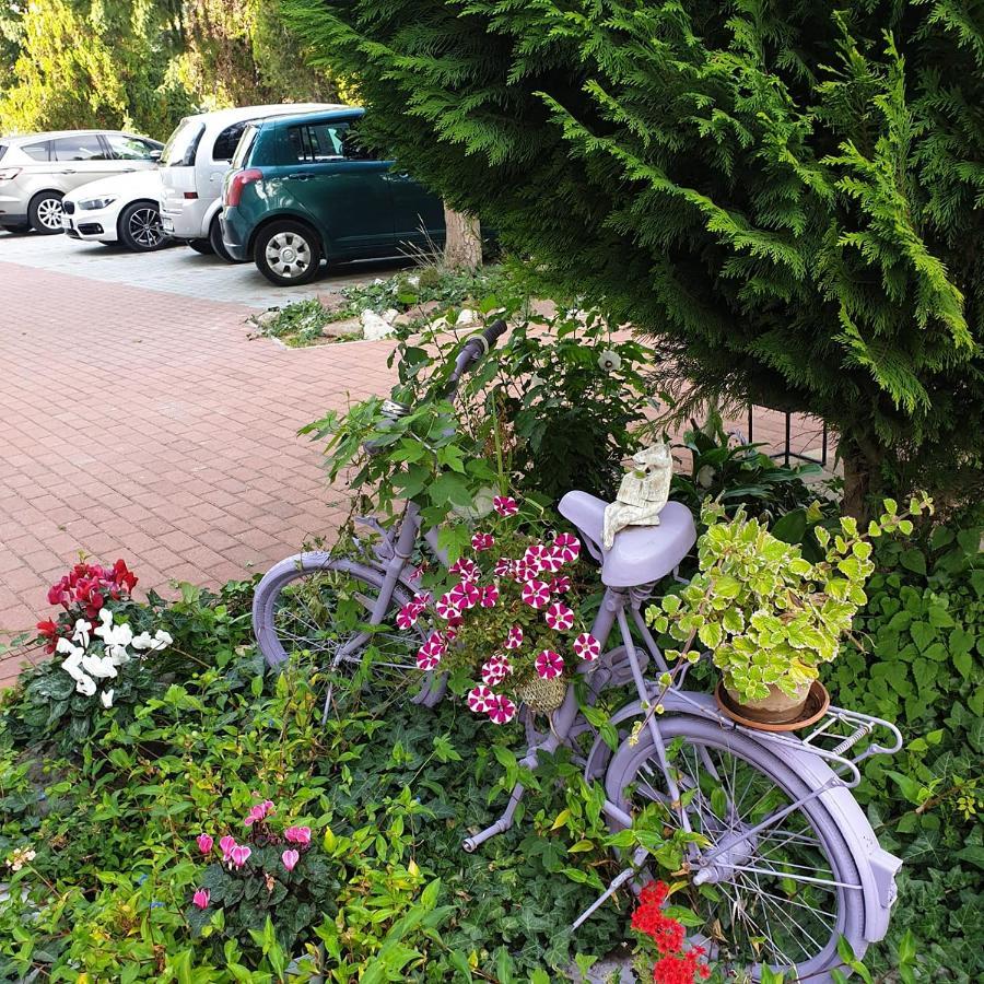 Alabastrom Panzio Es Etterem Bed & Breakfast โบกาช ภายนอก รูปภาพ