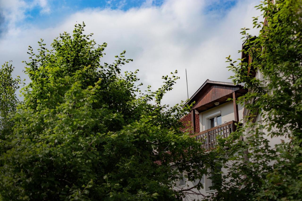 Alabastrom Panzio Es Etterem Bed & Breakfast โบกาช ภายนอก รูปภาพ
